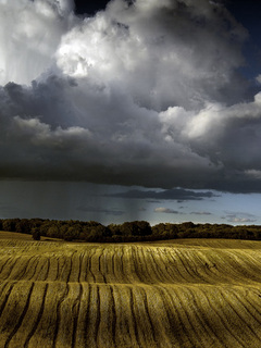 Other Wallpapers 0569